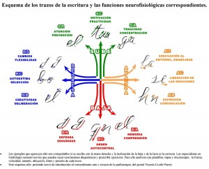 Los doce trazos escriturales. Grafología racional y Grafoterapia, Vicente Lledó Parrés.