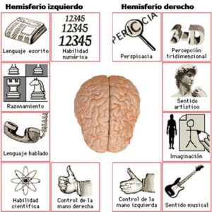 Integración y Sincronización de los Hemisferios Cerebrales (2)