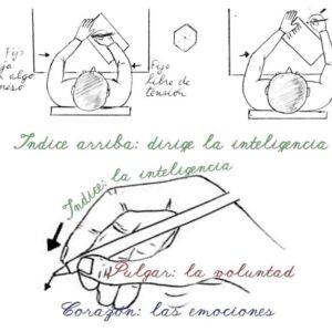Postura-correcta-escribir-bien.jpg